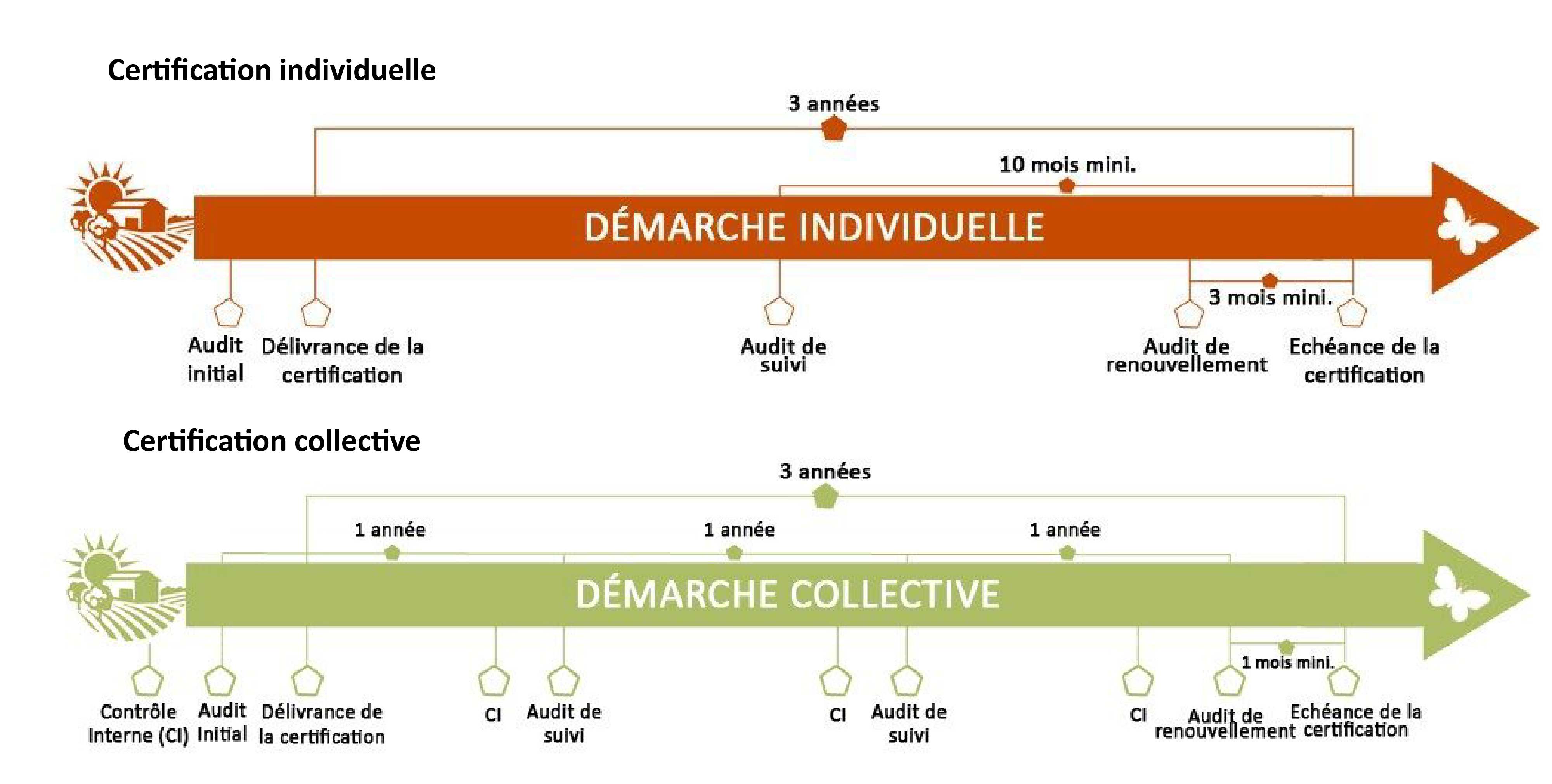 graphique HVE - Copie
